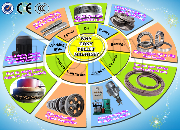 Vertical Ring Die Pellet Mill-Big Gear