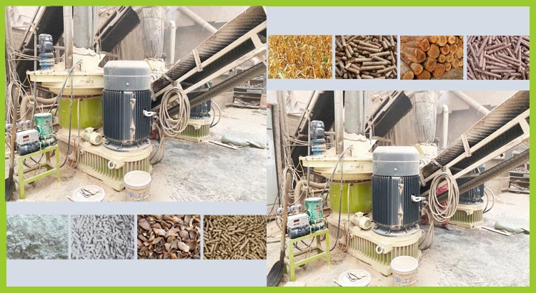 Biomass Pellet Mill