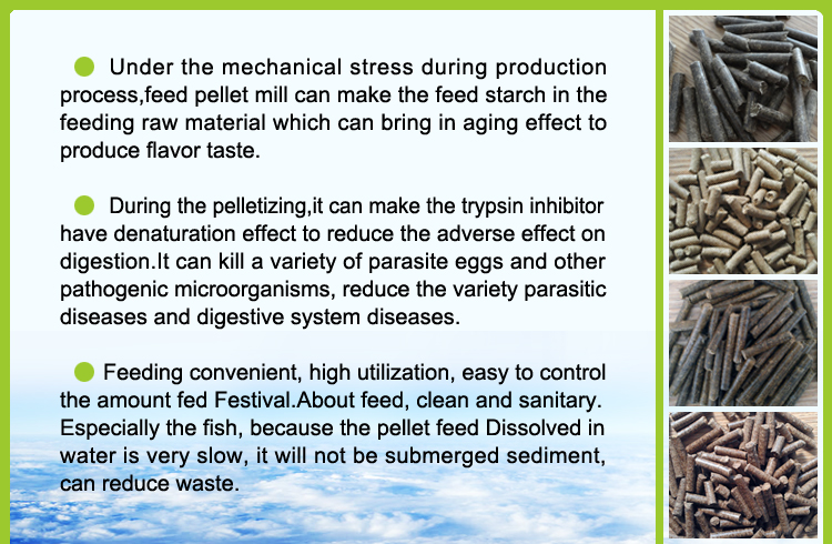 10T/hour Stereoscopic Feed Pellet