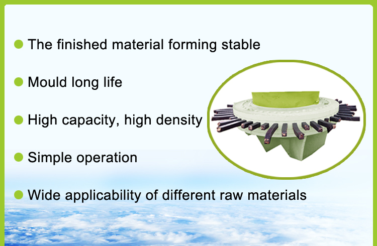 Biomass Briquetting Machine