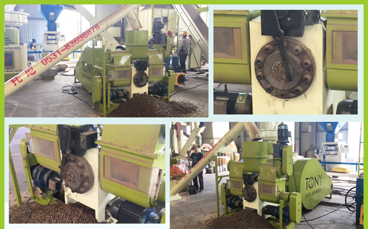 Stamping Biomass Briquette and