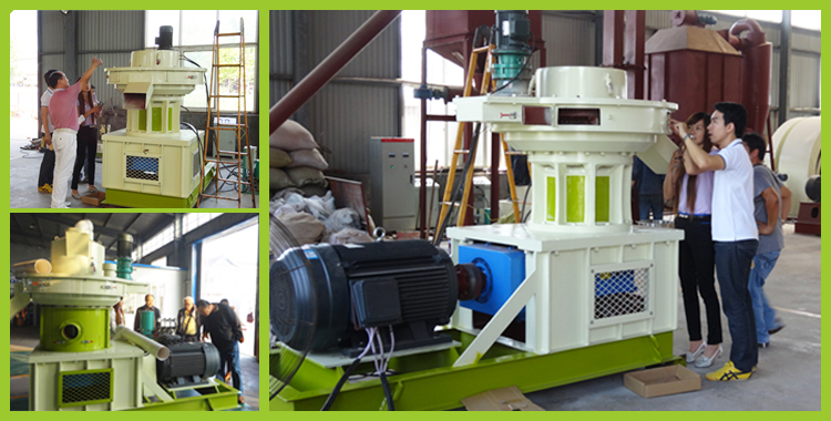 Vertical Ring Die Pellet Mill-Reducer