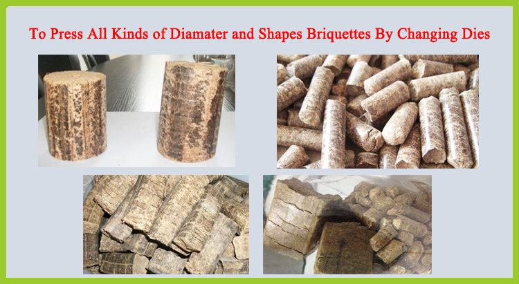 Stamping Biomass Briquette and